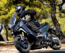 Σημεία – και τέρατα – των Καιρών, Νοέμβριος 2025